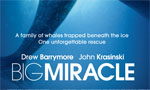 Big Miracle